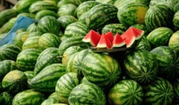 网红吃瓜网,揭秘娱乐圈幕后真相，带你领略明星生活百态